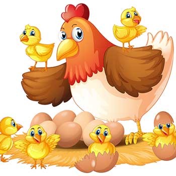 Doğumda Perineyi Korumak