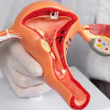 Suda Doğumda Ebenin Rolü